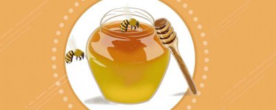 ​蜂王浆的营养价值及营养成分