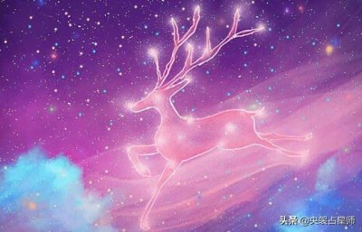 ​狮子座和摩羯座的人相配吗（狮子座和摩羯座在一起合适吗）