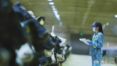 ​乳业头条，2025年1月12日；最新乳业新闻发布！