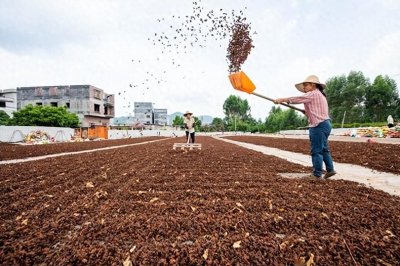 ​八角是哪里的特产？中国10个八角主要产地，你认为哪里最有名？
