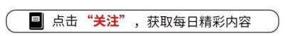 ​号称“必玩”的3A游戏！盘点20款Steam平台上必玩的3A游戏大作！