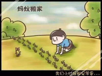 ​户外活动都会碰到红火蚁？别怕，农业君来教你认识它！