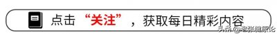 ​俄专家“尬黑”中国六代机：亚音速而且不能超机动，理由是没尾翼