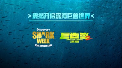 ​《巨齿鲨2：深渊》X Discovery鲨鱼周35周年联动