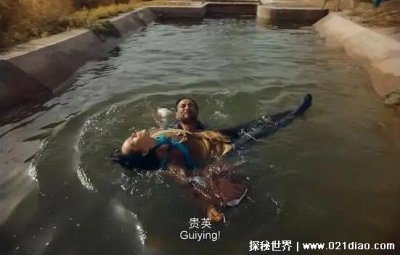 ​隐入尘烟结局是什么意思男主到底死没死，喝下农药死了没有被救