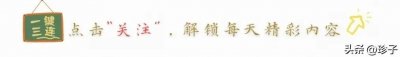 ​这才是白菜最过瘾的吃法：冬日暖心又美味的白菜炖粉条