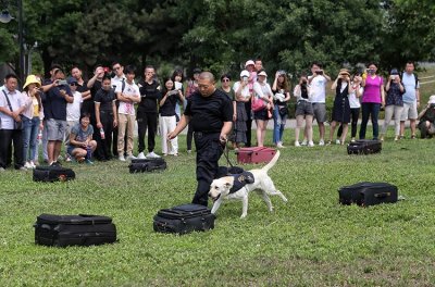 ​零距离接触缉毒犬：能够识别7种毒品