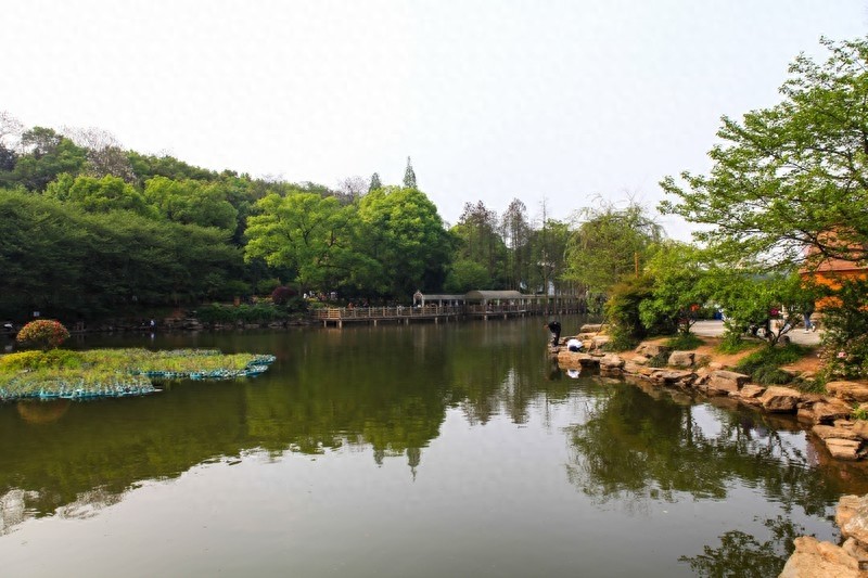 天然的大氧吧，湖南省森林植物园，也叫长沙植物园
