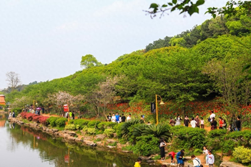 天然的大氧吧，湖南省森林植物园，也叫长沙植物园