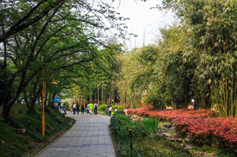 天然的大氧吧，湖南省森林植物园，也叫长沙植物园