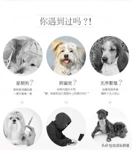 ​女子买到“星期狗”要求查看宠物健康证明遭店员回怼：这不是你该管的事