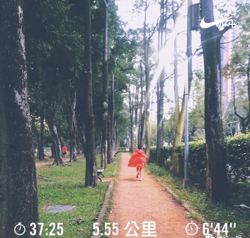 陈意涵跑210公里（陈意涵又作妖产后跑马拉松）