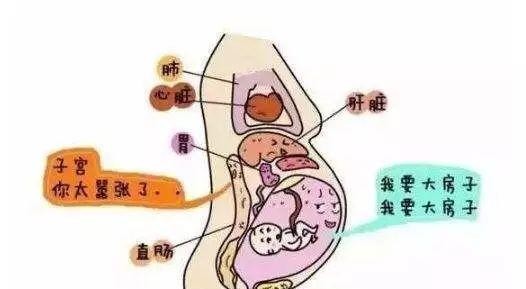 陈意涵跑210公里（陈意涵又作妖产后跑马拉松）