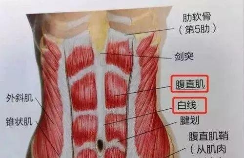 陈意涵跑210公里（陈意涵又作妖产后跑马拉松）