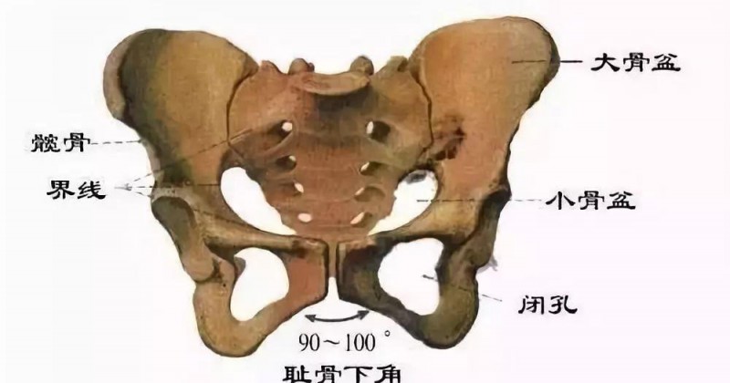 陈意涵跑210公里（陈意涵又作妖产后跑马拉松）