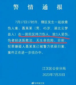 ​太惨烈！武汉发生重大恶性案：45岁男子持刀行凶，知情者曝内幕