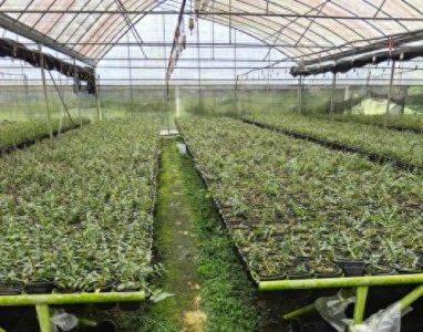 ​植物医生以高山植物护肤赢得掌声，实现门店出圈