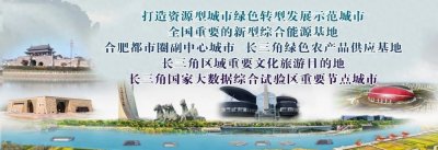 ​政协第十六届淮南市委员会当选副主席、常务委员名单