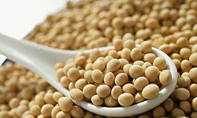 豆子要煮多久才熟,黄豆需要煮多长时间才可以煮熟图4