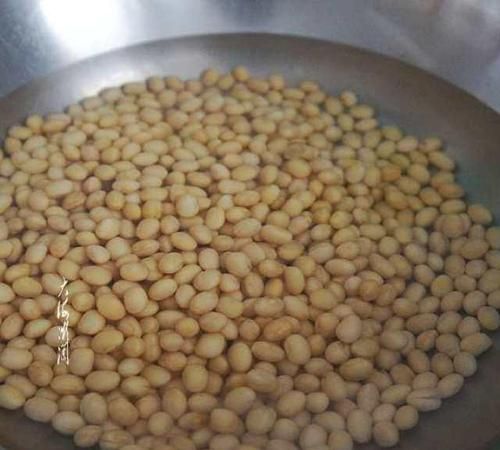 煮豆子浇花煮多长时间