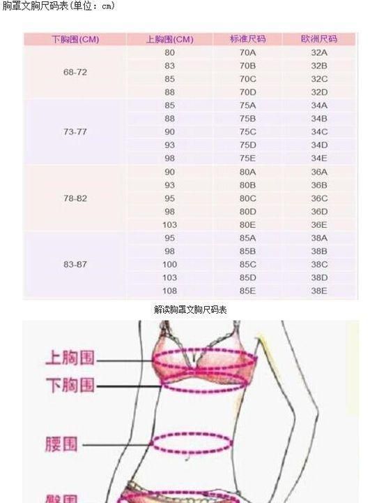 内衣尺寸表,胸罩怎么买尺寸表?图2