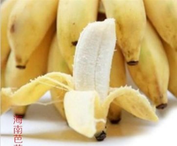 ​芭蕉怎么催熟,芭蕉怎么催熟最快