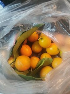 ​金桔冰糖怎么熬制（冰糖金桔的做法步骤介绍）