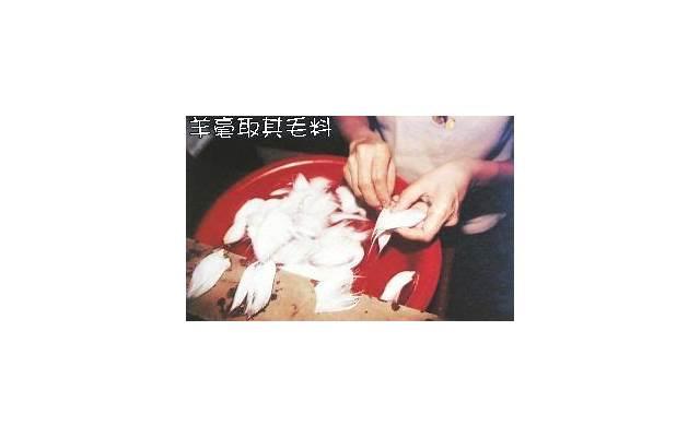 实操干货：老公出轨还提离婚，原配如何精准反击，掌握主动权？