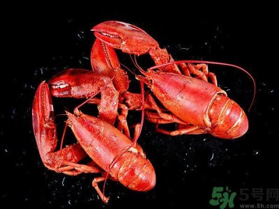 ​油焖大虾为什么肉散了？油焖大虾怎么做肉不散？