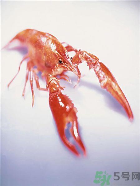 油焖大虾为什么肉散了？油焖大虾怎么做肉不散？
