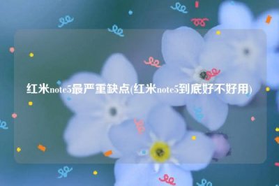 ​红米note5最严重缺点(红米note5到底好不好用)