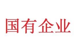 绿地集团是国企吗，上海绿地集团是国企吗？图2