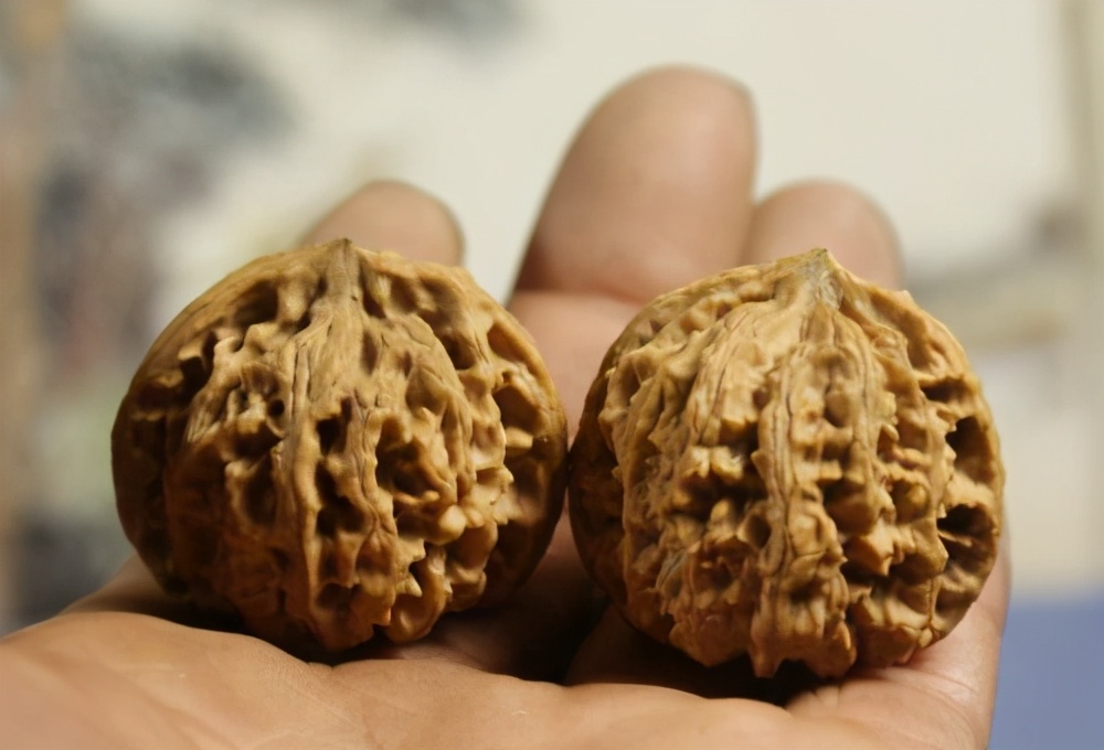 核桃文玩哪个品种最好(推荐6款口碑最好的核桃文玩)