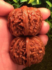 ​核桃文玩哪个品种最好（推荐6款口碑最好的核桃文玩）