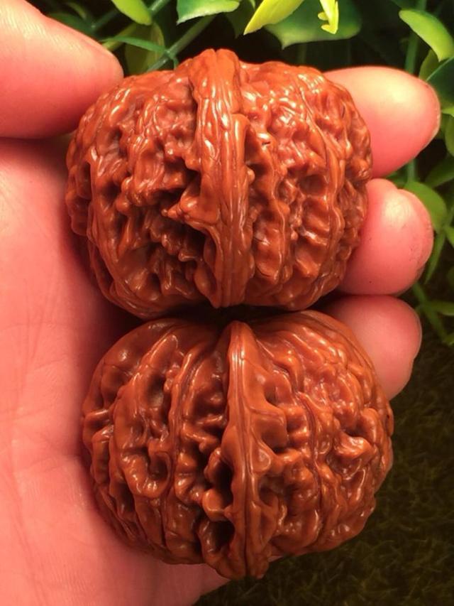 核桃文玩哪个品种最好(推荐6款口碑最好的核桃文玩)