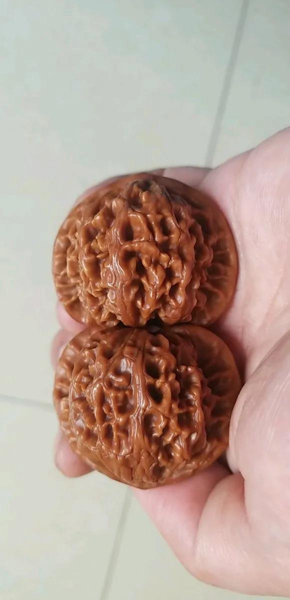 核桃文玩哪个品种最好(推荐6款口碑最好的核桃文玩)
