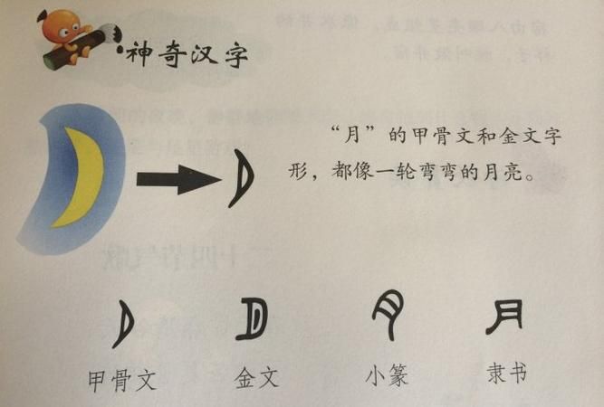 竹字的来历450字