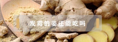 烂生姜可以吃