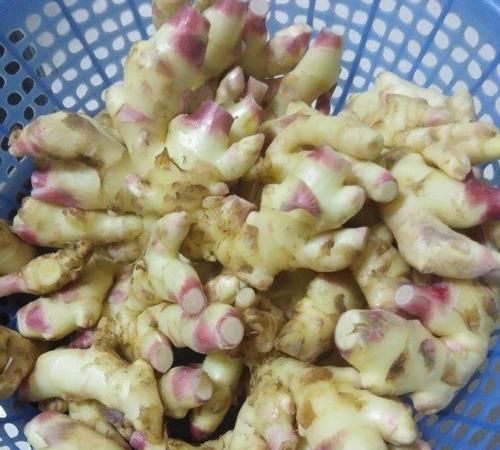 生姜发霉了还能吃