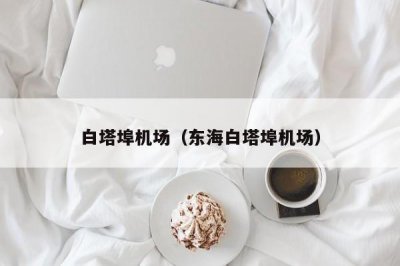 ​白塔埠机场（东海白塔埠机场）
