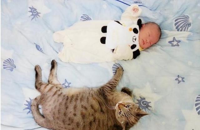 宝宝剃头一周后头发长成“猫爪印”,网友看了笑喷天生的猫奴