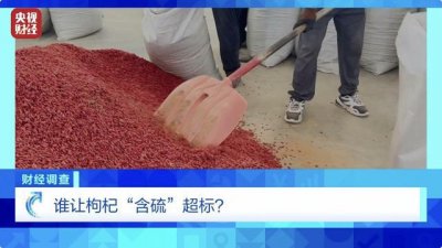 ​央视曝光“硫超标”枸杞！记者深夜直击加工现场：被熏到呼吸困难、泪流不止…