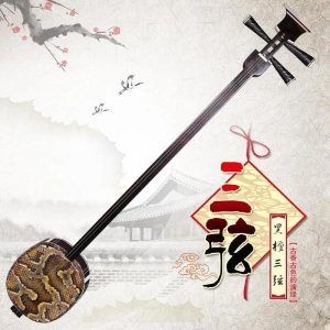 ​「乐器大家庭」之民族弹奏乐器(五)三弦