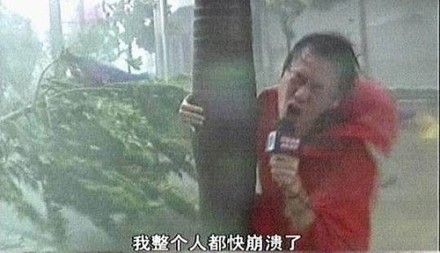 荷兰的相关资料（30条你不知道的国家冷知识）