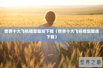 ​世界十大飞机模型图纸下载（世界十大飞机模型图纸下载）