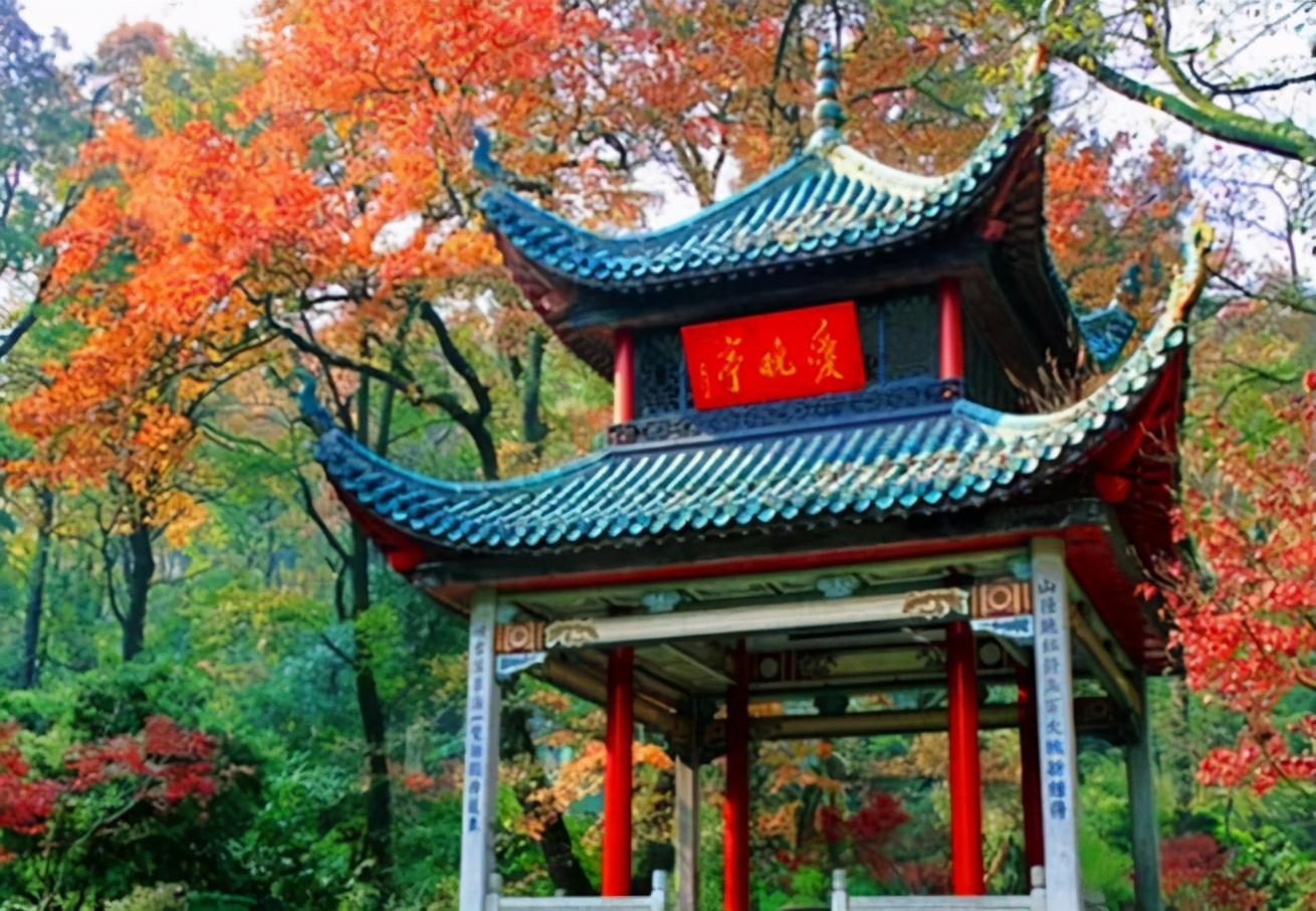 长沙市有多少人口(长沙市各区人口排名)