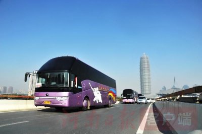​郑州交运直通车 邀你洛阳看牡丹