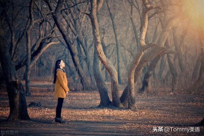 15秒记一个单词(第3056个)psychology