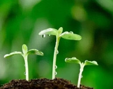 人生低谷期就是在救你的命,度过低谷期将涅槃重生