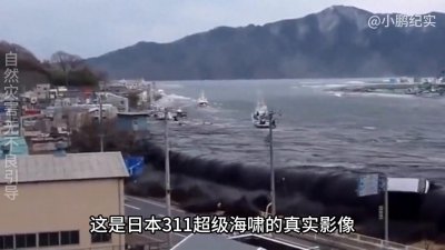 日本311超级大海啸,仅仅6分钟就将城市淹没,场面堪比...